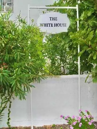 No5 White House * 달리안